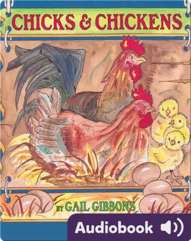 Chicks and Chickens book