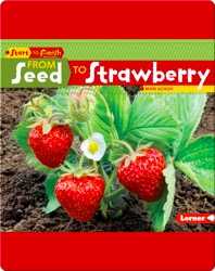 From Seed to Strawberry book