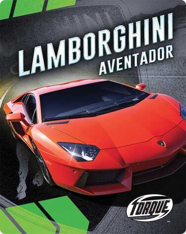 Lamborghini Aventador book