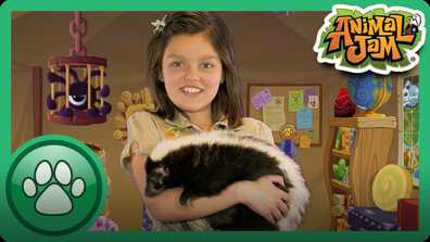 Cami Meets a Skunk! book