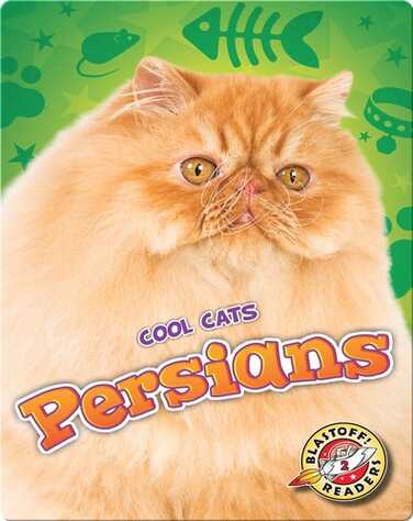 Persians book