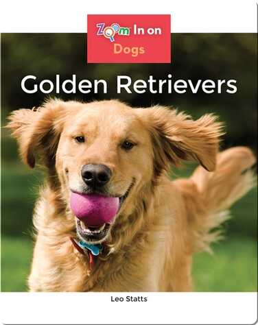 Golden Retrievers book