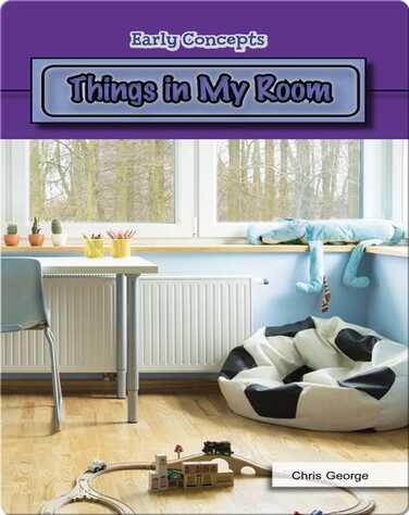 Things in My Room book