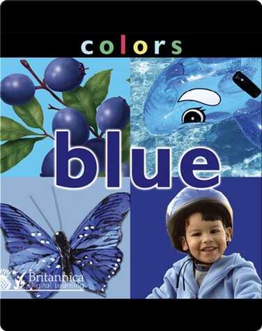Colors: Blue book