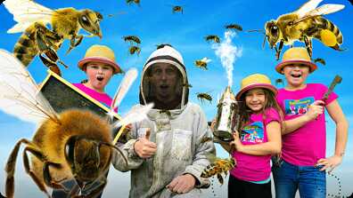 Busy Bees! Learn About Bees book