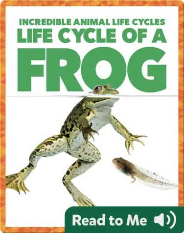 Life Cycle of a Frog book