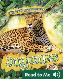 Jaguars