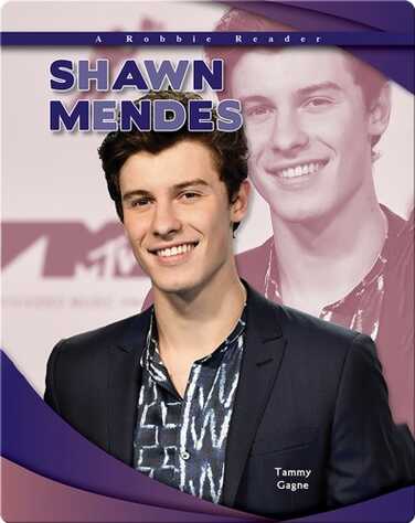 Shawn Mendes book