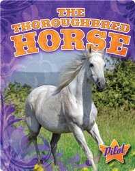 The Thoroughbred Horse book