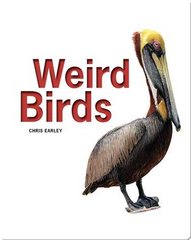 Weird Birds book