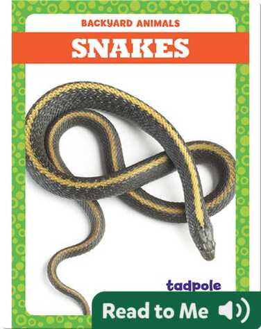 Backyard Animals: Snakes book