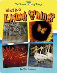 What is a Living Thing? book