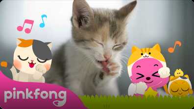 Oh, Baby Cat Says Meow book