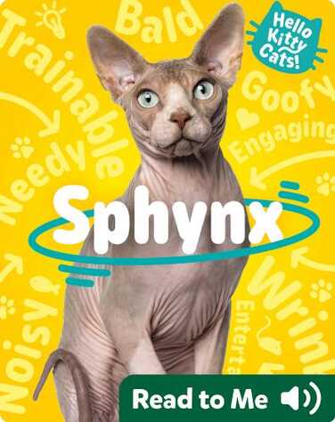 Hello Kitty Cats! Sphynx book