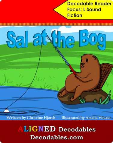 Sal at the Bog book