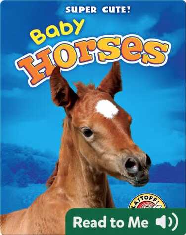 Super Cute! Baby Horses book