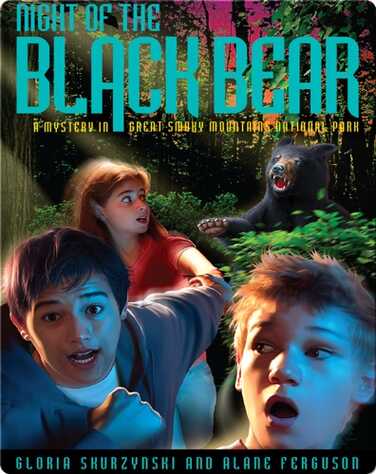 Mysteries in Our National Parks: Night of the Black Bear book