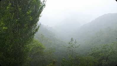 Water in the Cloudforest book