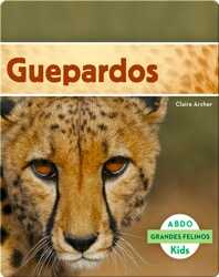 Guepardos book