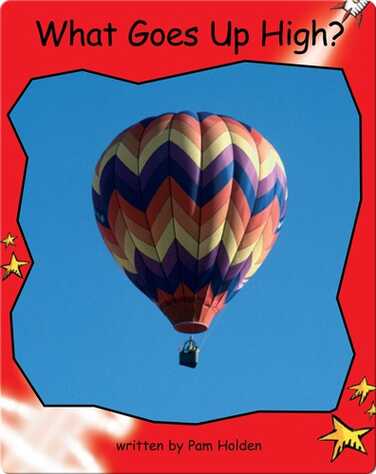 What Goes Up High? book