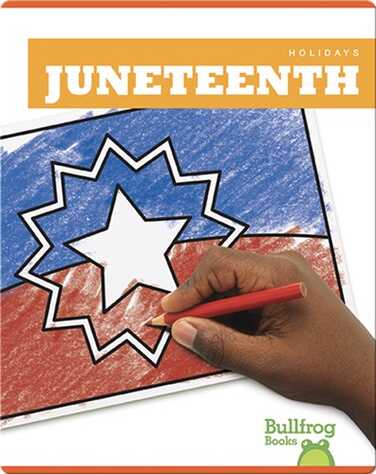 Holidays: Juneteenth book