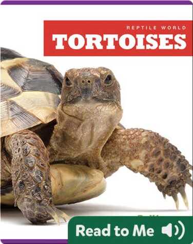 Reptile World: Tortoises book