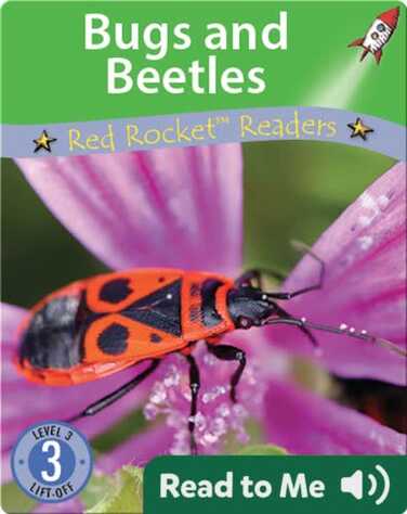 Bugs and Beetles book