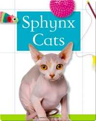 Sphynx Cats book