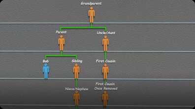 What's a Second Cousin Once Removed? book