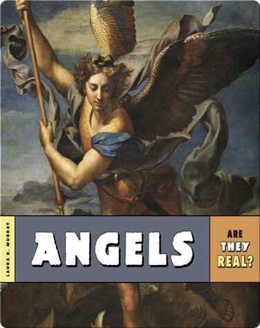 Angels book
