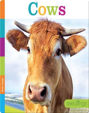 Cows book