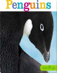 Penguins book