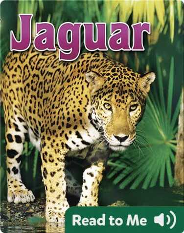 Jaguar book