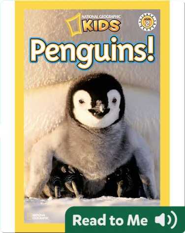 National Geographic Readers: Penguins! book