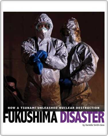 Fukushima Disaster book