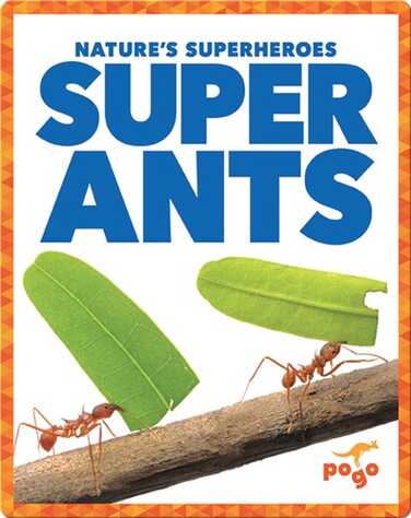Super Ants book