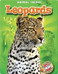 Leopards: Animal Safari