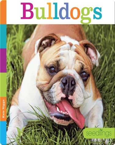 Bulldogs book