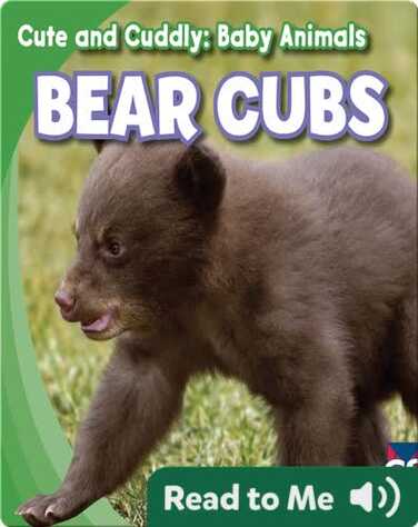 Cute and Cuddly: Bear Cubs book