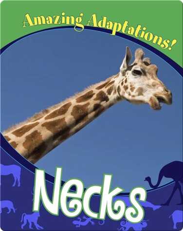 Necks book
