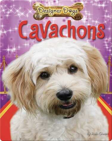 Cavachons book