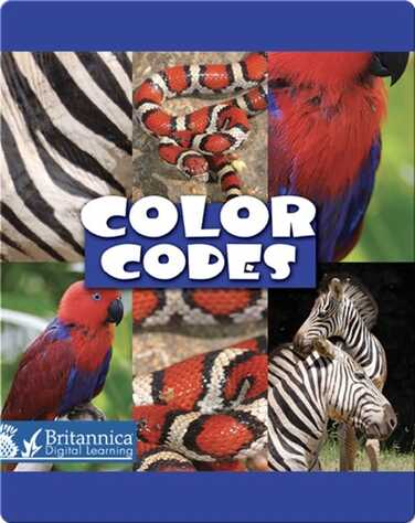Color Codes book