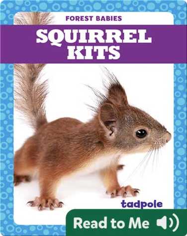 Squirrel Kits book