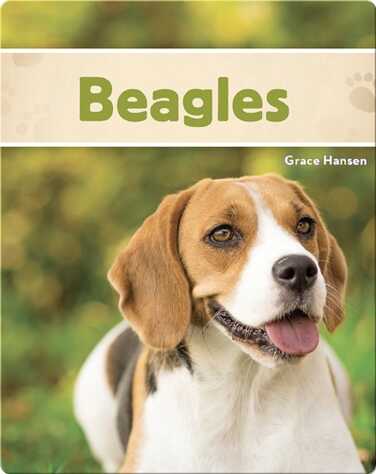 Beagles book