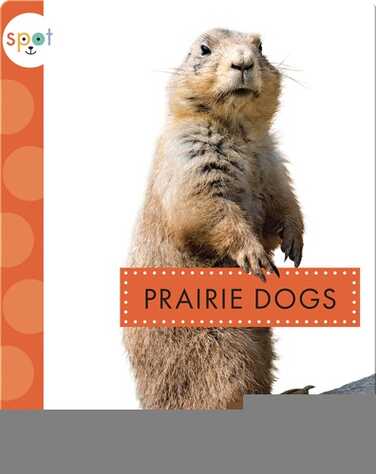 Backyard Animals: Prairie Dogs book