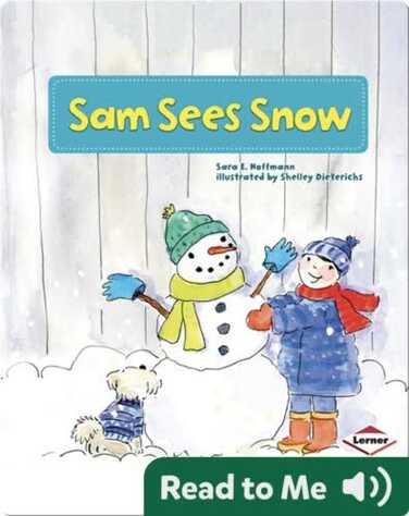 Sam Sees Snow book
