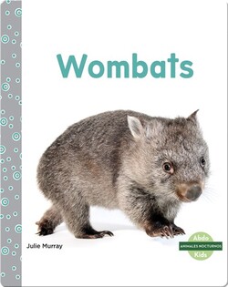 Animales nocturnos: Wombats