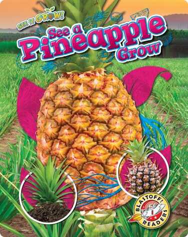 See a Pinapple Grow book