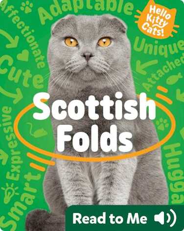 Hello Kitty Cats! Scottish Folds book