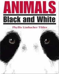 Animals: Black and White